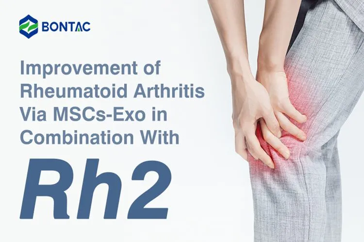 Improvement of Rheumatoid Arthritis Via MSCs-Exo in Combination With Rh2