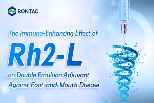 Az Rh2-L immunerősítő hatása a ragadós száj- és körömfájás elleni kettős emulziós adjuvánsra