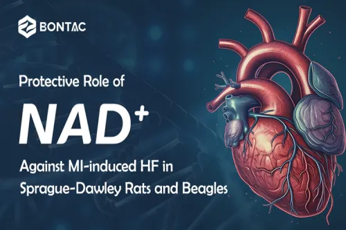 Protective Role of NAD+ Against MI-induced HF in Sprague-Dawley Rats and Beagles