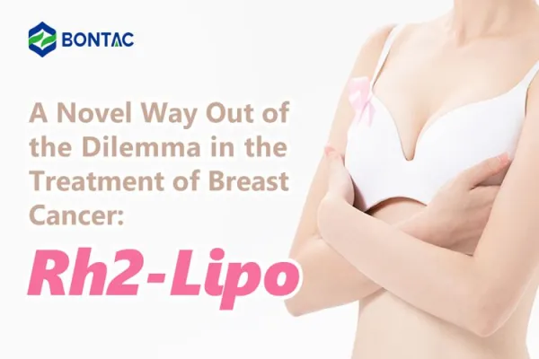 Một cách mới thoát khỏi tình thế tiến thoái lưỡng nan trong điều trị ung thư vú: Rh2-Lipo
