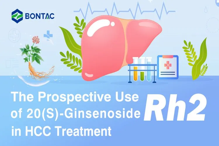 The Prospective Use of 20(S)-Ginsenoside Rh2 in HCC Treatment