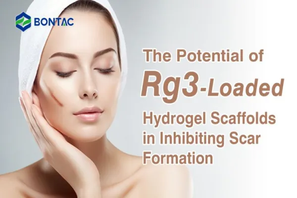 The Potential of Rg3-Loaded Hydrogel Scaffolds in Inhibiting Scar Formation Introduction