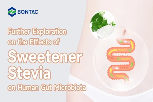 Further Exploration on the Effects of Sweetener Stevia on Human Gut Microbiota