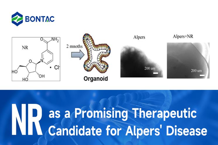 NR as a Promising Therapeutic Candidate for Alpers' Disease