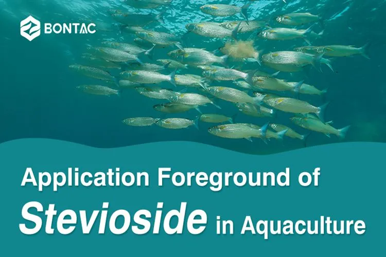 Application Foreground of Stevioside in Aquaculture