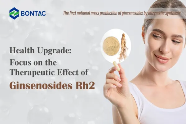 Miglioramento della salute: focus sull'effetto terapeutico del ginsenoside Rh2