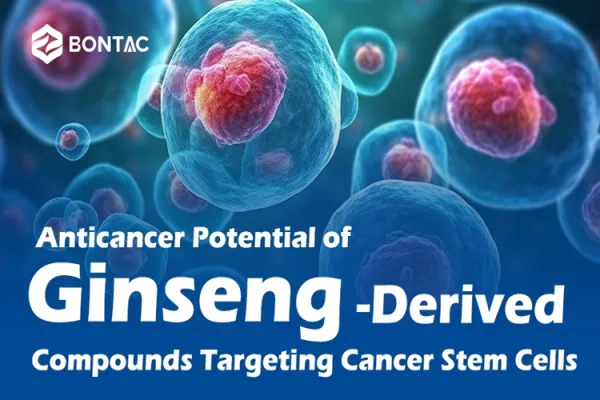 Anticancer Potential of Ginseng-Derived Compounds Targeting Cancer Stem Cells
