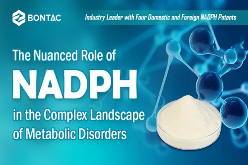 The Nuanced Role of NADPH in the Complex Landscape of Metabolic Disorders