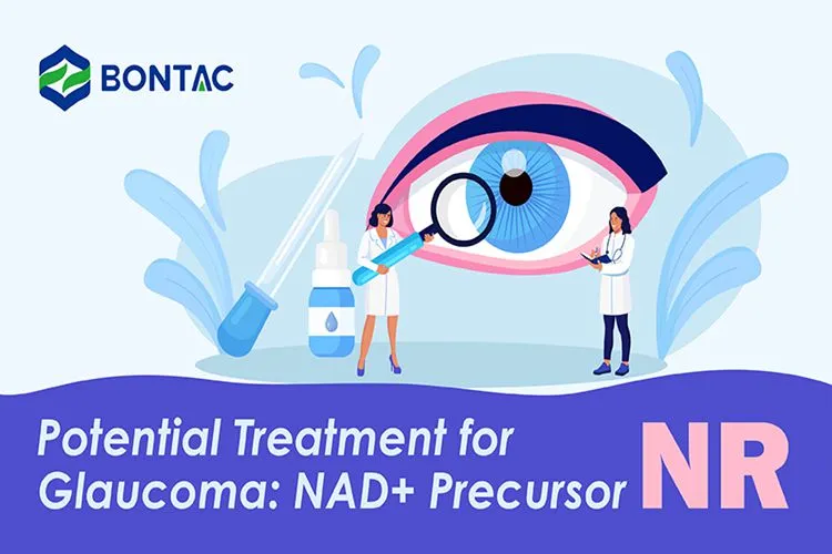 Potential Treatment for Glaucoma: NAD+ Precursor NR