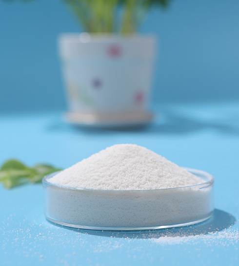 Exploring the Chemical Properties of Calcium Stearate: Key Characteristics and Structural Composition