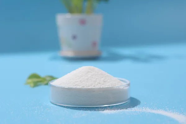 Calcium Stearate: A Versatile Additive for Industrial Applications