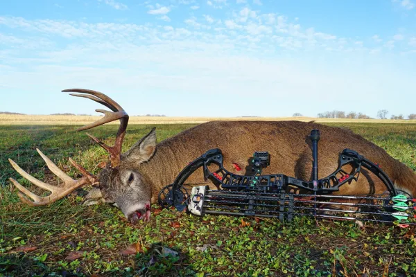 Why Mechanical Broadheads Are Still the Best Option for Most Deer Hunters