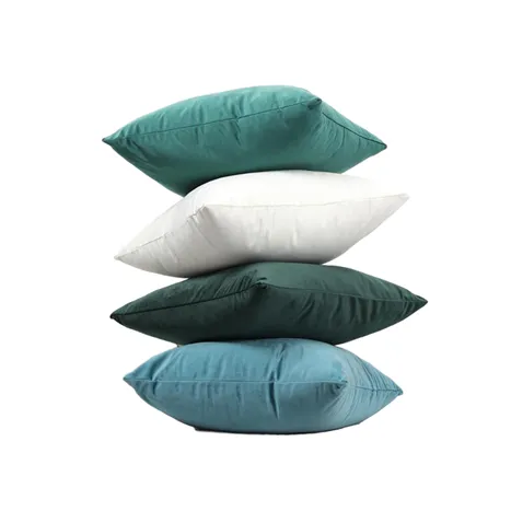 What is a home plush pillow?