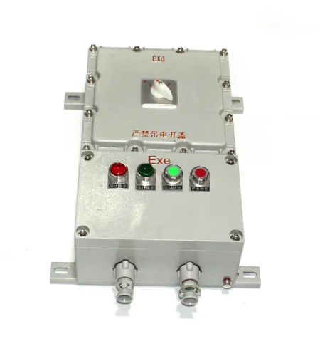 Explosion Proof Flameproof Box | Customize The Explosion Proof Distribution Box