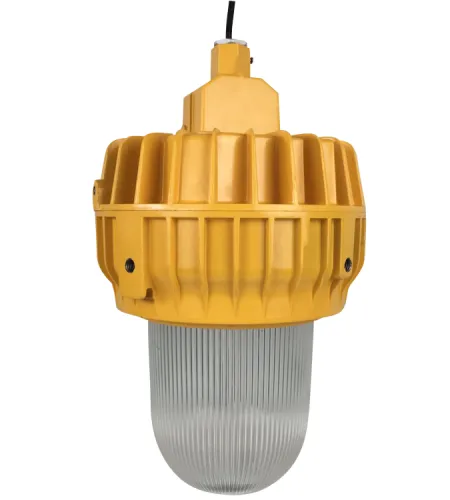 Interrupteurs d’éclairage antidéflagrants | Premium 100w Fabricant de lumière LED antidéflagrante