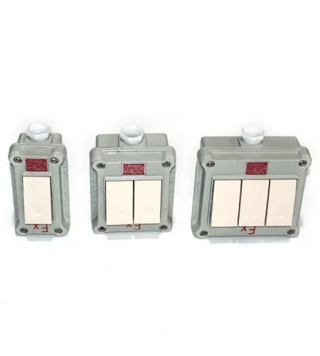Explosion Proof Switch | Professional Custom Explosion Proof Push Button Switch