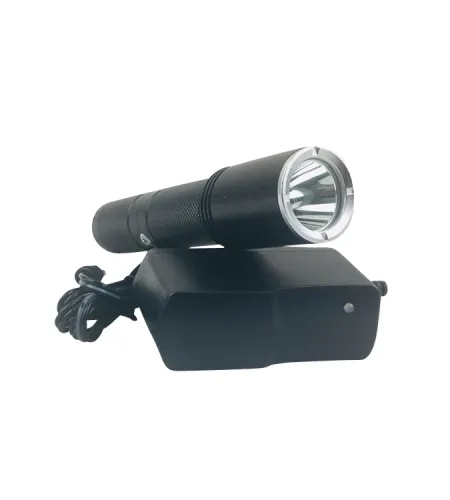 Explosionsgeschützte Taschenlampe Hersteller | Benutzerdefinierte explosionsgeschützte LED-Taschenlampe
