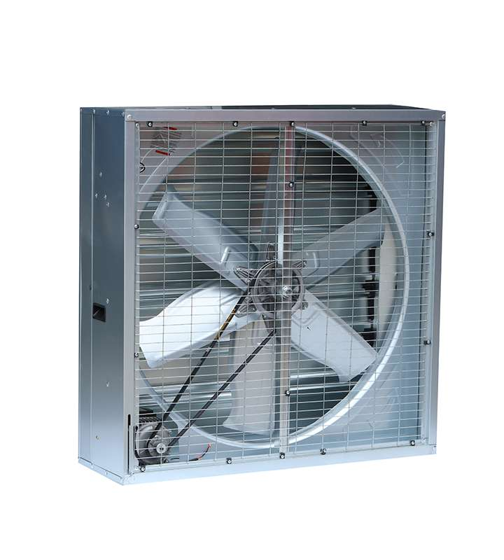 Box Exhaust Fan for Industrial Spaces