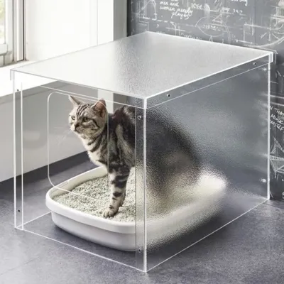 ELAN's Premium Acrylic Pet Furniture: Innovative Care Solutions