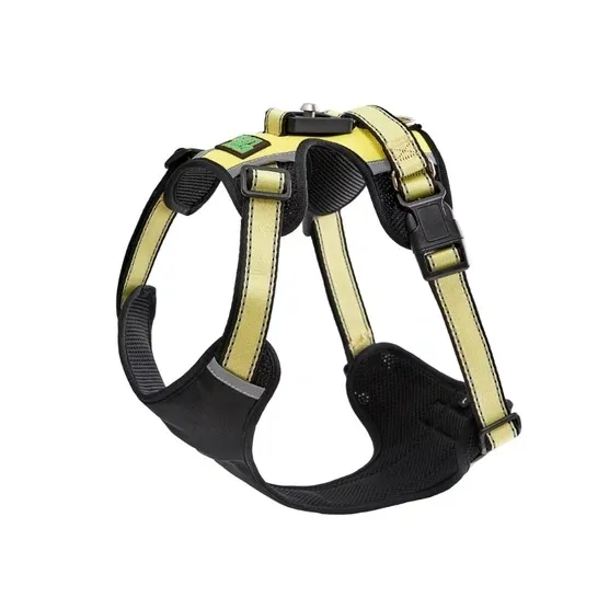 No pull small dog harness in use