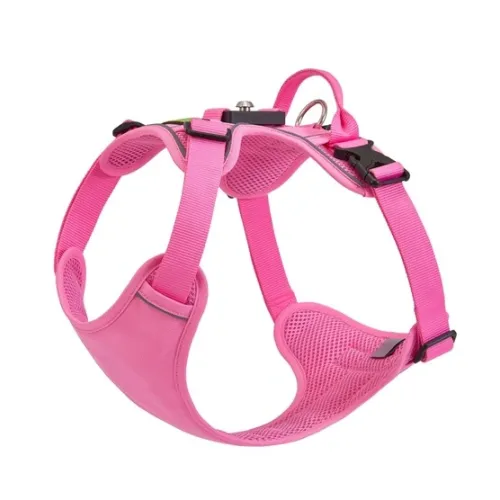 What Makes a Comfortable Dog Harness