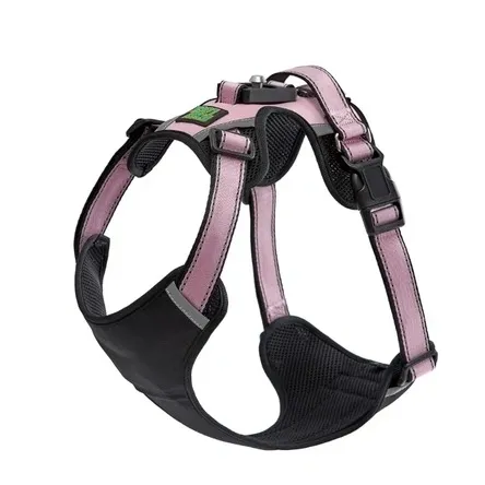 What Is a Puppy Dog Harness