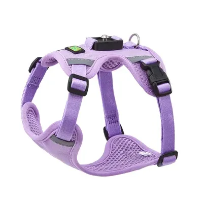 What Is a Small Dog Harness