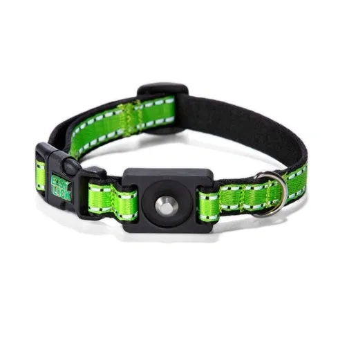 What Is a Magnetic Buckle Dog Collar