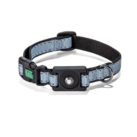 Customized Magnetic Buckle Dog Collar