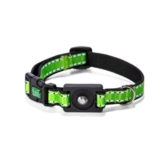 Magnetic Buckle Dog Collar Production