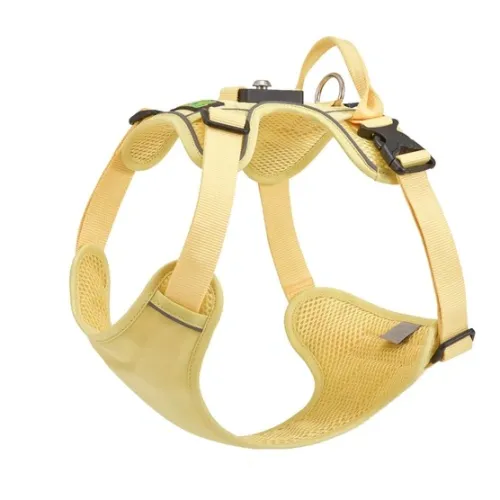 What Is a Large Dog Harness