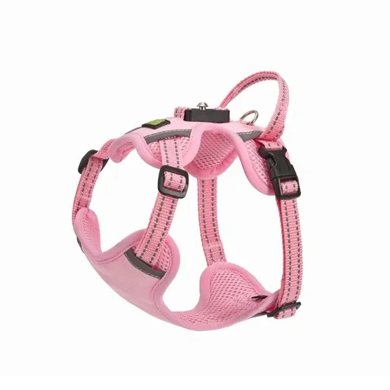 Magnetic Harness Dog Design