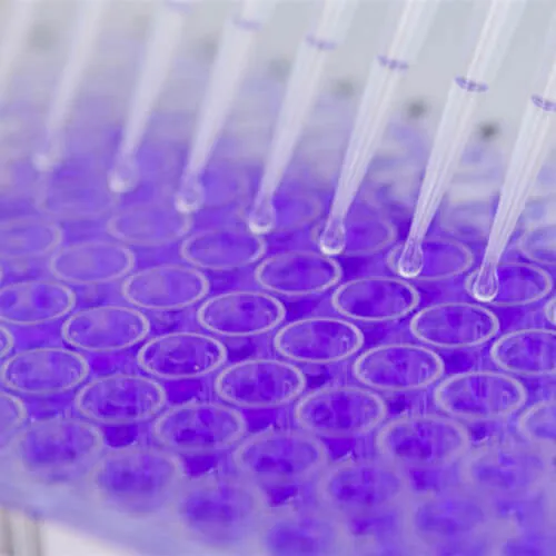 Clinical Translation | Why Choose Us