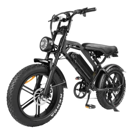 C20 Electric Bike