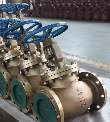 Globe Valve Producer | Edvc Globe Valve
