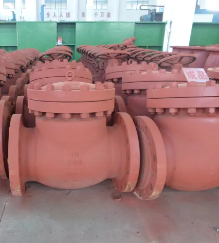 Check Valve Agency | Long-life Check Valve Producer