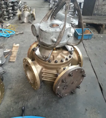 Cryogenic Plug Valve Factory Factory And Exporter-EDVC