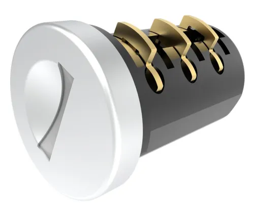 Advantages of Lock Cylinders: Key Control, Convenience, and Longevity
