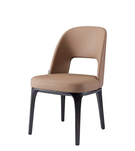 Dining Chair | Fashion Dining Chair
