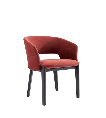 Dining Chair | Fashion Dining Chair