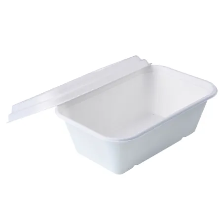 Eco-Friendly Compostable Disposable Dinnerware Sugarcane 1300 ml Lunch Box