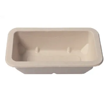 10 inch Biodegradable Disposable Sugarcane Dinner Set Food Deep Tray