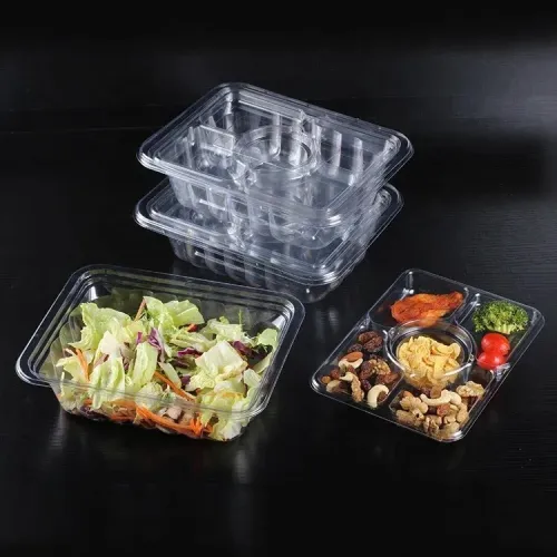 Experience Freshness on the Go with Our Disposable Salad Container!