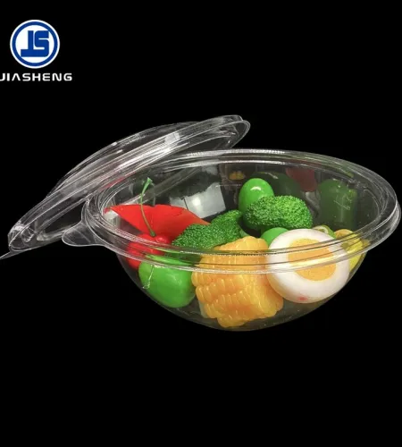 Travel-Friendly Disposable Salad Containers for Modern