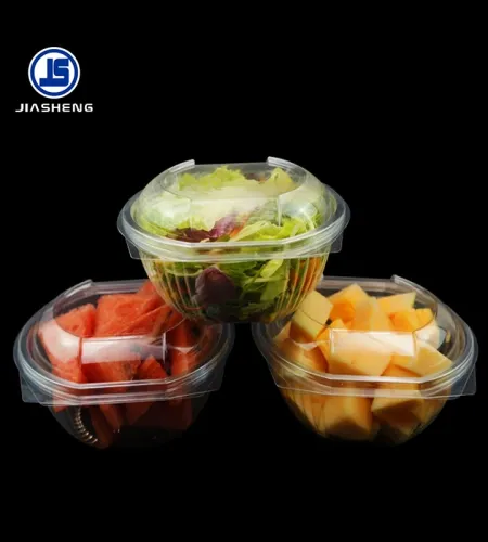 Travel-Friendly Disposable Salad Containers for Modern