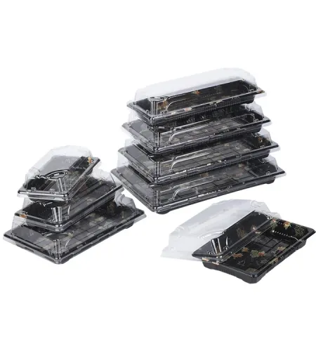 Disposable Sushi Containers for Perfect Presentation