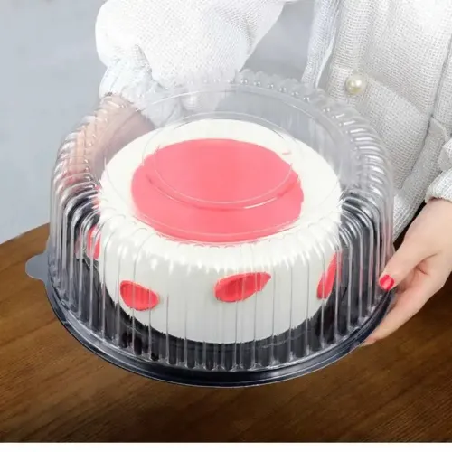 Discover the Best Disposable Cake Holders