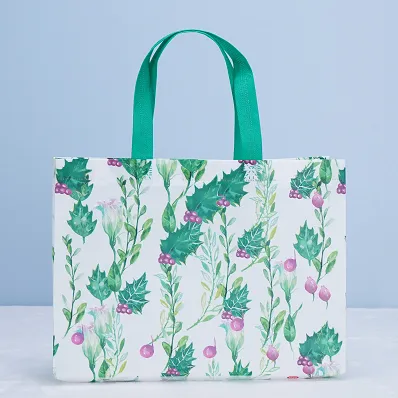 Non Woven Bags Manufacturer | Non Woven Wine Bottle Bags