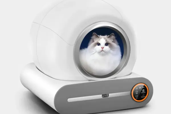 Discover the Best Automatic Cat Litter Tray for Modern Pet Care