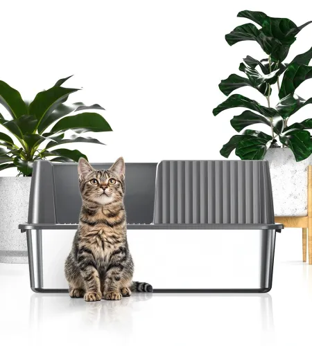 The Hidden Cat Litter Box Furniture Designed as a Functional End Table.